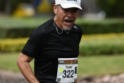 W1559247
