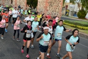 W1564812