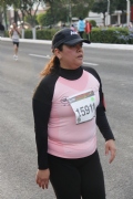 H1551194