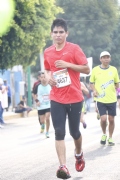 T1551595