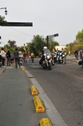 N1544031