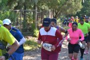 B1571557