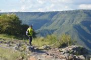 G1569339