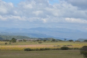 Z1543719