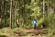 T1574795