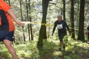 C1542949