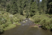 H1553161