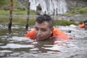 I1554797