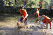 N1555151