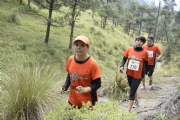 O1554412
