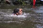 A1568202