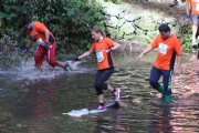 D1566402