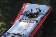 F1568133