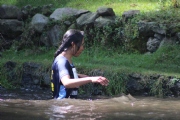 G1566988
