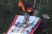 G1567496