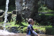 H1567651