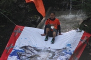 N1566593