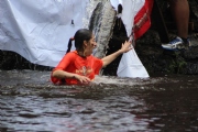 V1568078