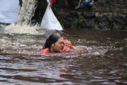 W1566398