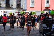 P1555665