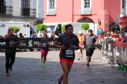 P1555768