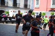 P1556540