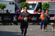 T1556164