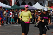 Y1556243
