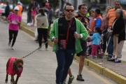 T1580874