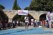 W1595330