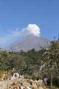 E1596648