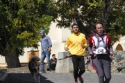 T1596959