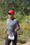 Q1593826