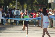 L1603536