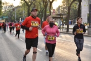 T1620520