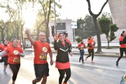 U1620146