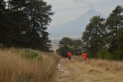Volcano 15k citytrail