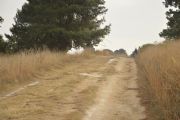 D1625889