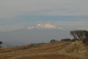 L1624929