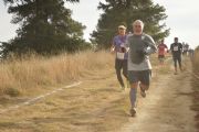O1625682