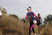H1626650