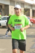 H1648238