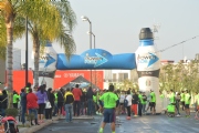 J1648137