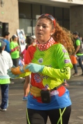 X1648233