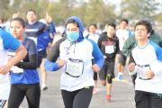 C1631687