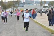 P1631646