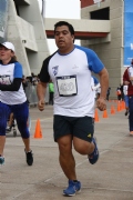 H1634334