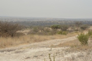 A1624985