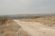 A1646483