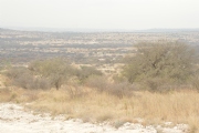 G1646583